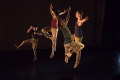 DSC_0734-1-web